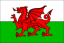 yr iaith Gymraeg